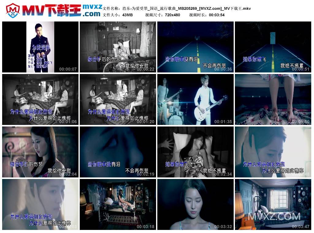浩东-为爱受罪_国语_流行歌曲_MB205269